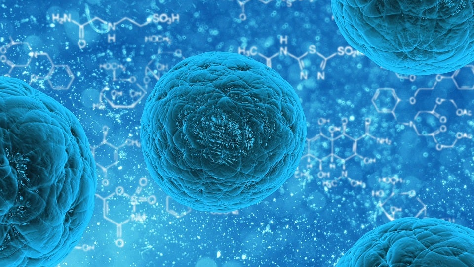 newsinfomain stemcells 240518