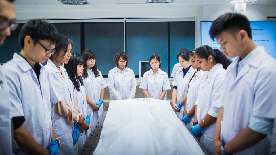 The ultimate gift to medicine - NUS Yong Loo Lin School of Medicine | NUS  Yong Loo Lin School of Medicine