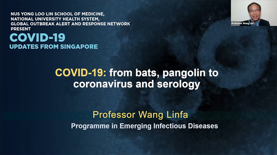 COVID-19: From bats, pangolin to coronavirus and serology - NUS Yong Loo Lin School of Medicine ...