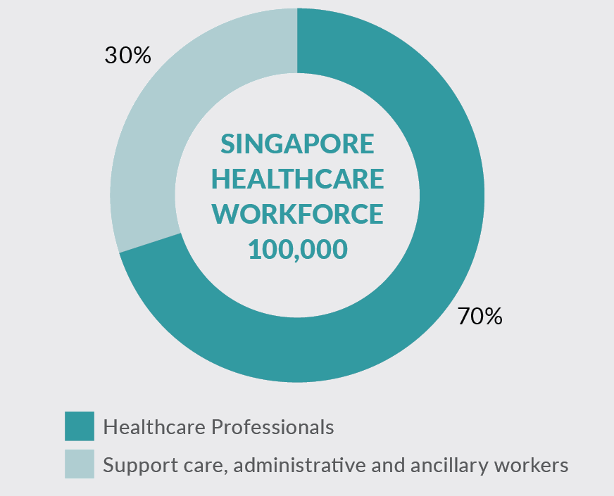 Insert image - Pie Chart - Singapore Healthcare Workforce 100,000
