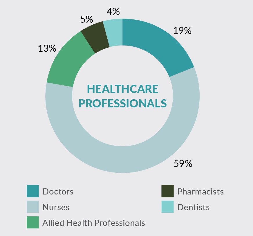 Insert image - Pie Chart - Healthcare Professionals