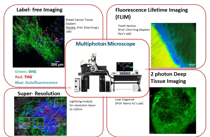 Screenshot 2025-06-12 123401