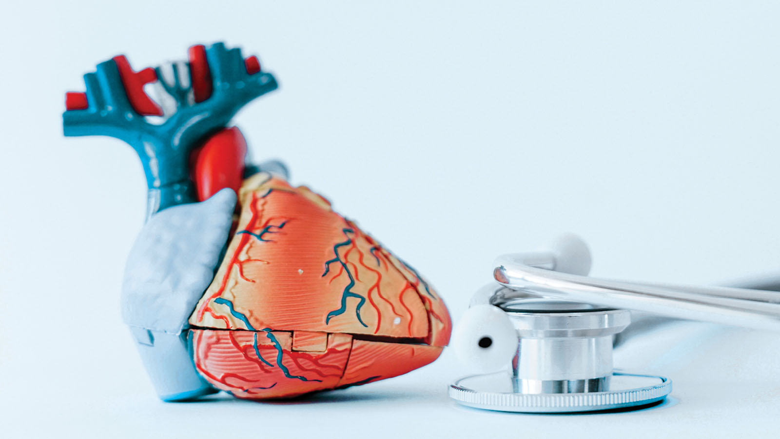 Stock image of a plastic model of a human heart, and a stethoscope.