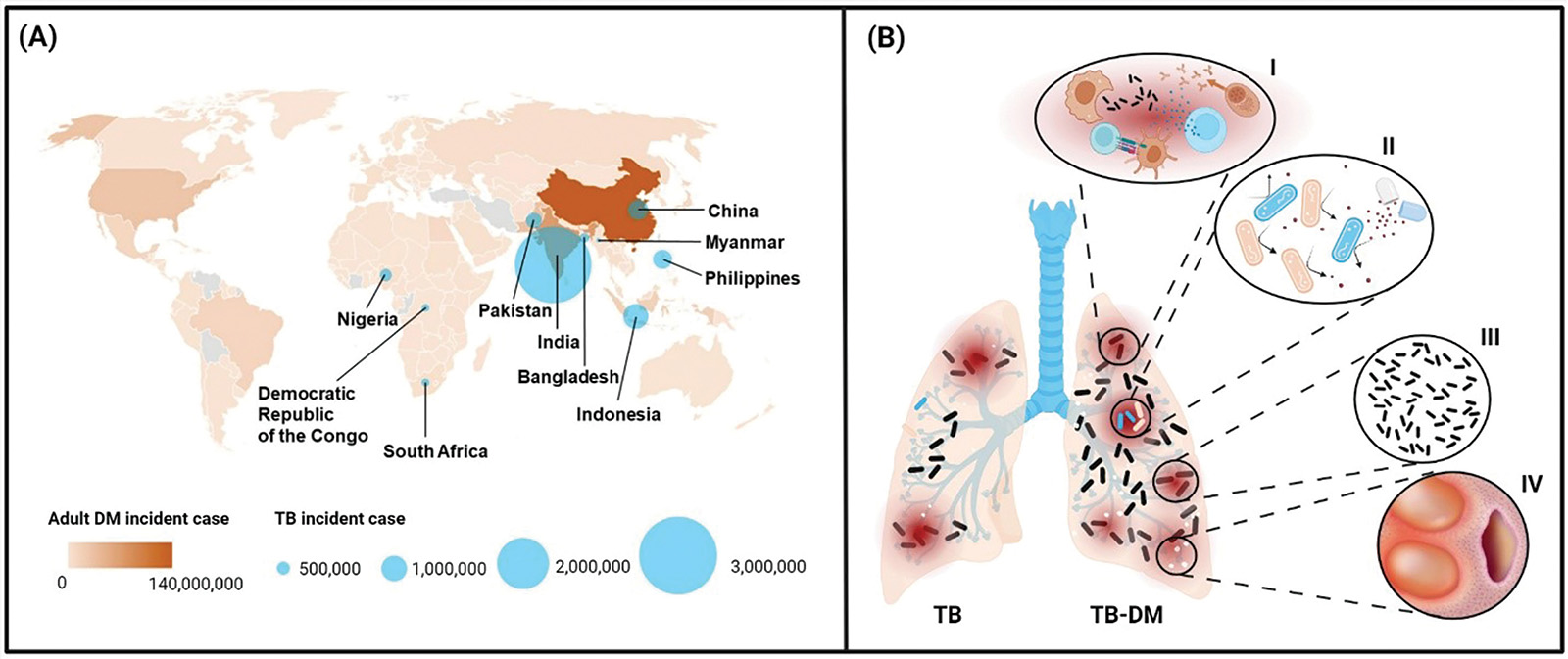 Tuberculosis and diabetes diagrams