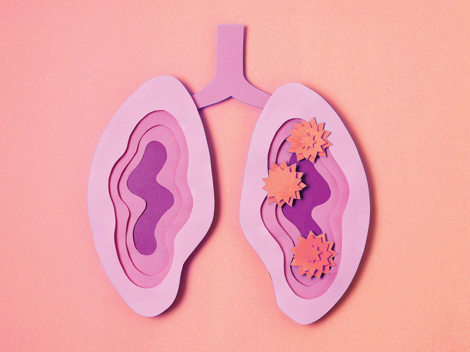Vector illustration of lungs interior