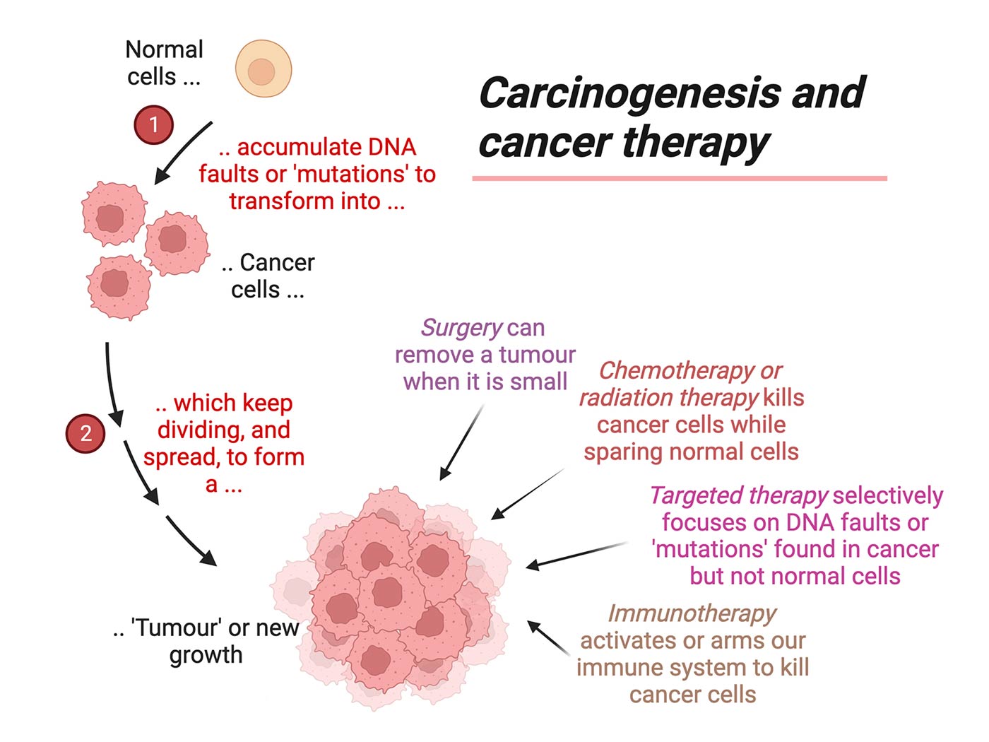 Diagram of carcinogenesis and cancer therapy. Created with BioRender.