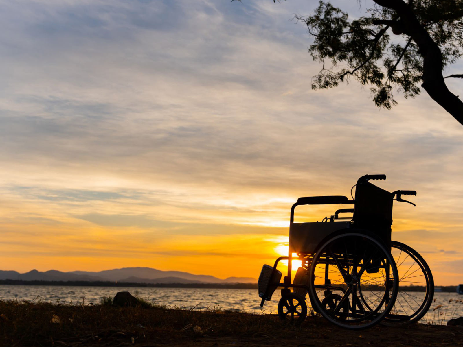 Image of a wheelchair placed to the left of a tree situated on the right side, facing towards the sun in the background on a grassy field near an ocean.