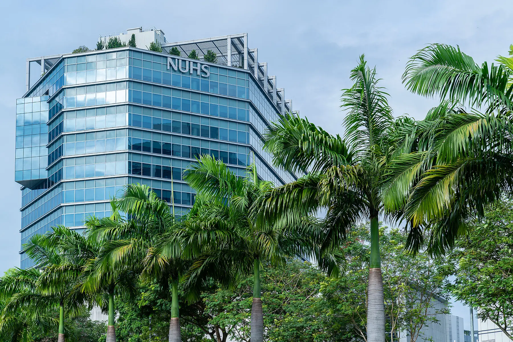 NUHS building surrounded by palm trees