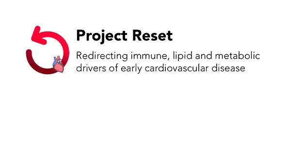 Project RESET logo