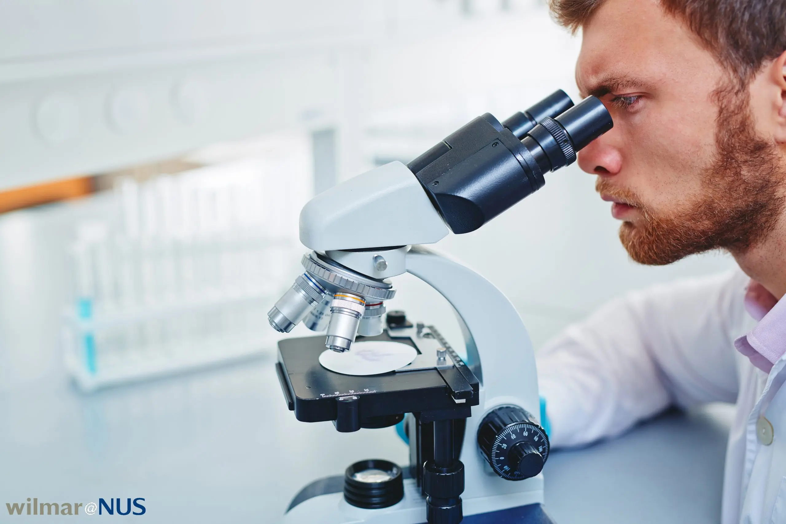 Male scientist looking into a microscope to represent the Wilmar and NUS research lab, WIL@NUS