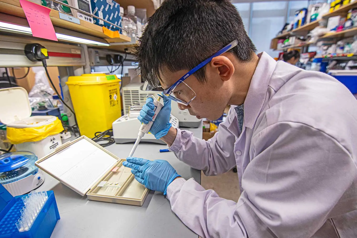 Timothy Ng Yu performing histological staining of tissue sections.