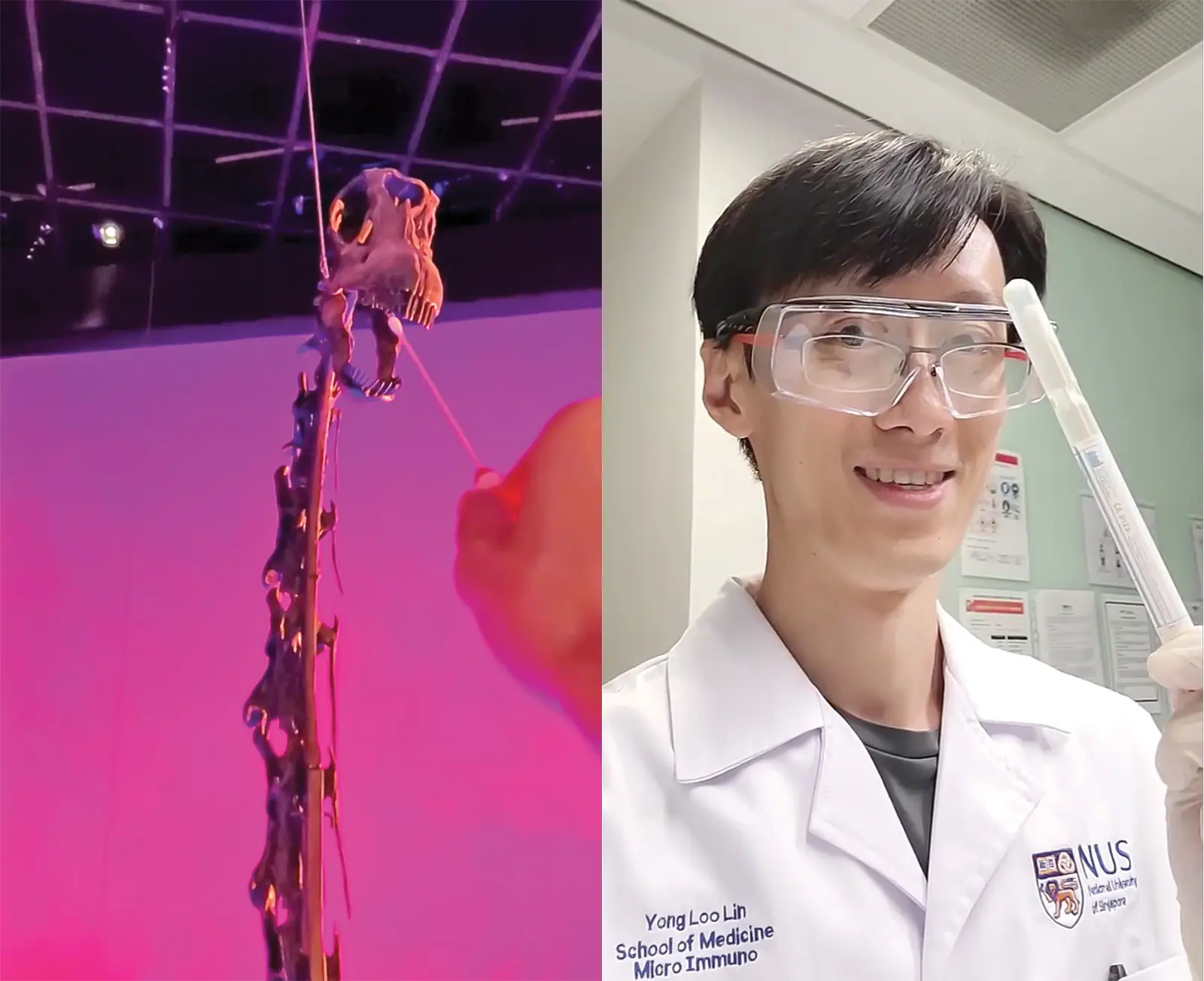 Left: Extracting DNA from the dental plaque of the resident Diplococcus fossils. Right: Dr Ch'ng Jun Hong, Department of Microbiology and Immunology