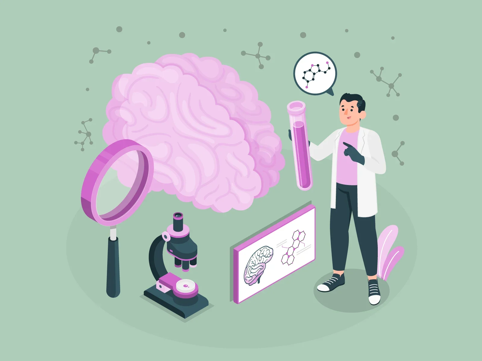 sol-02-banner-v01-4x3