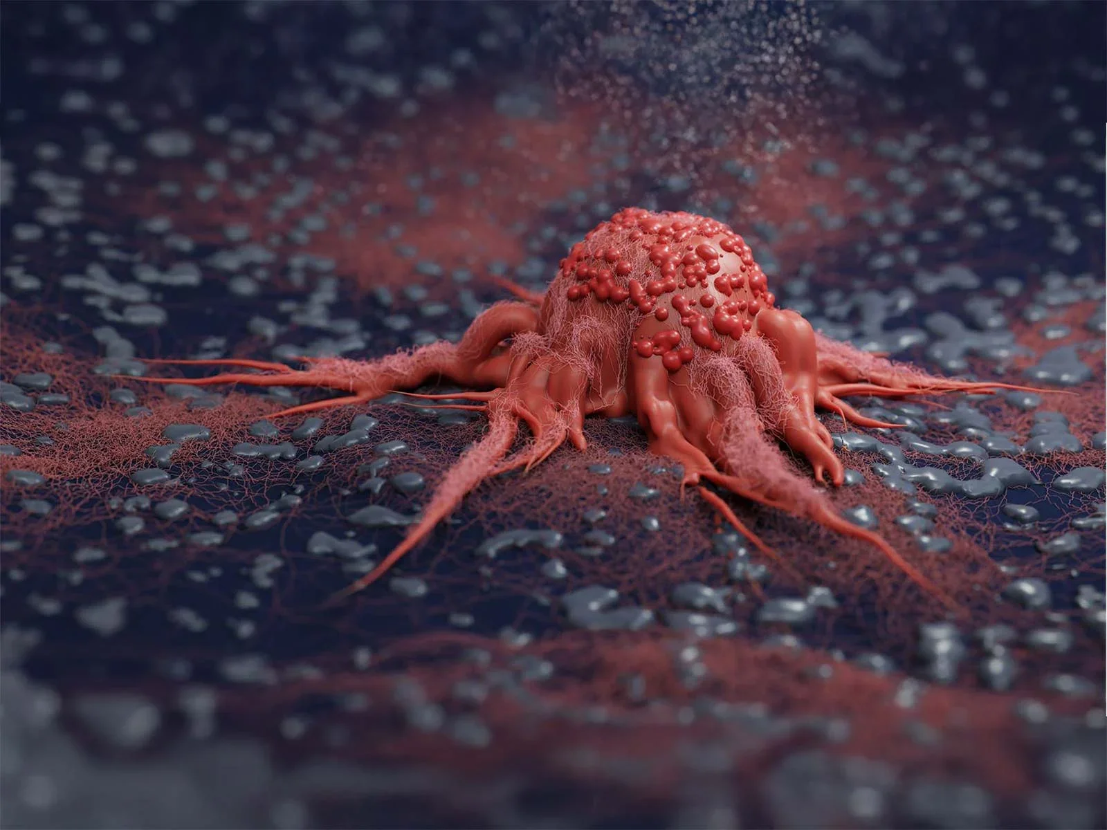 sol-05-banner-v01-4x3