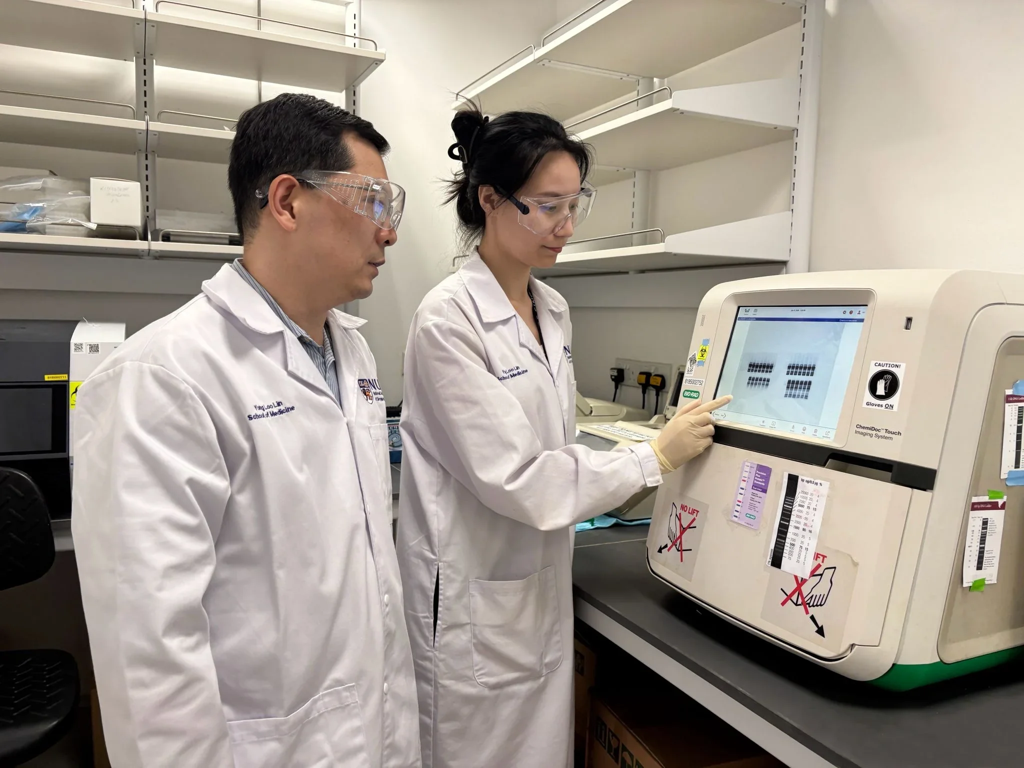 Research Photo for DMTF1 Press Release