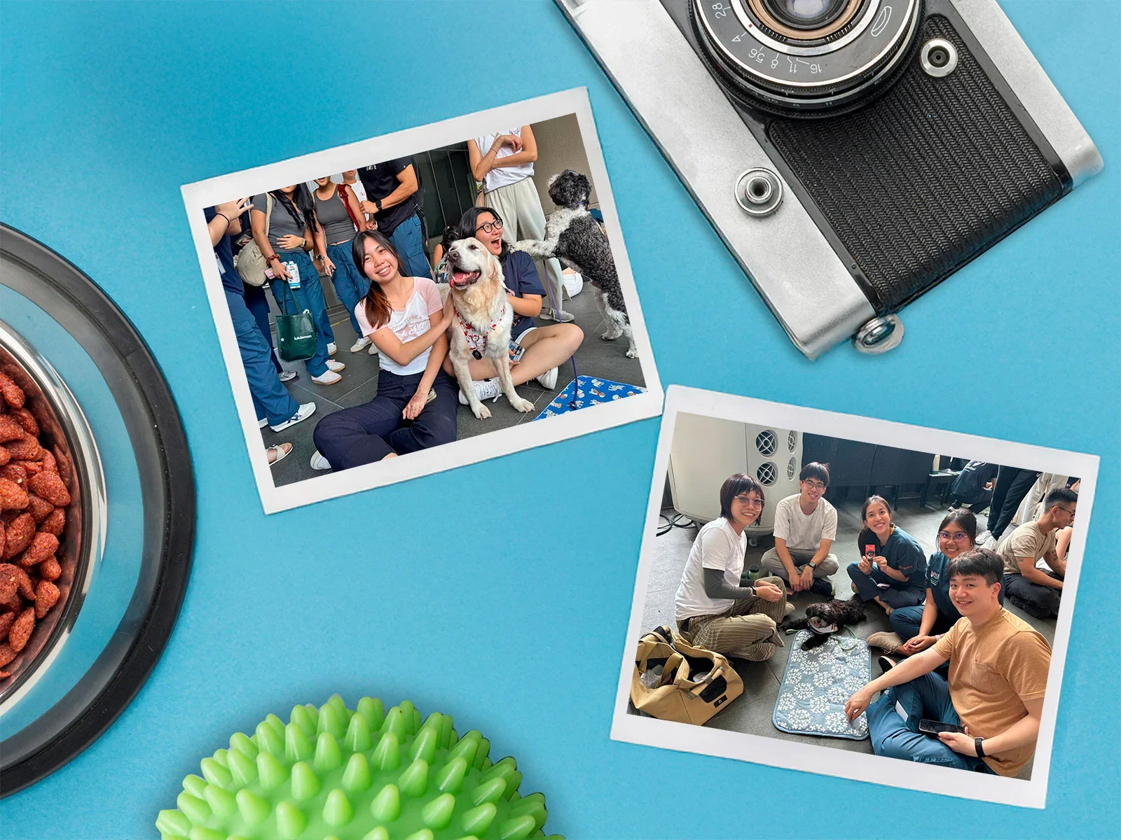 sm-01-banner-v02-4x3