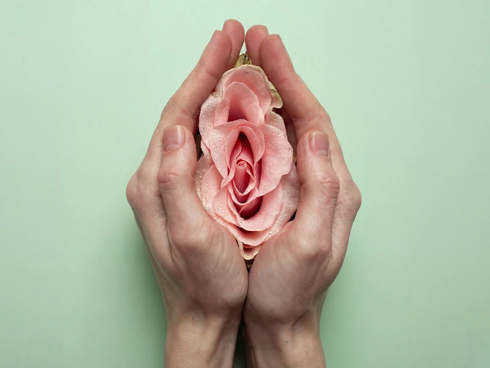 sol-01-banner-v01-4x3