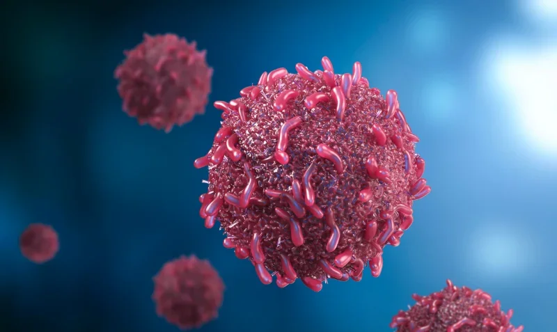 Copyright PhonlamaiPhotos via Canva.com_v2