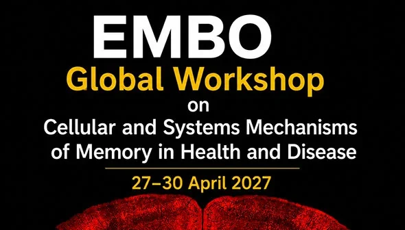 EMBO-image-590-336