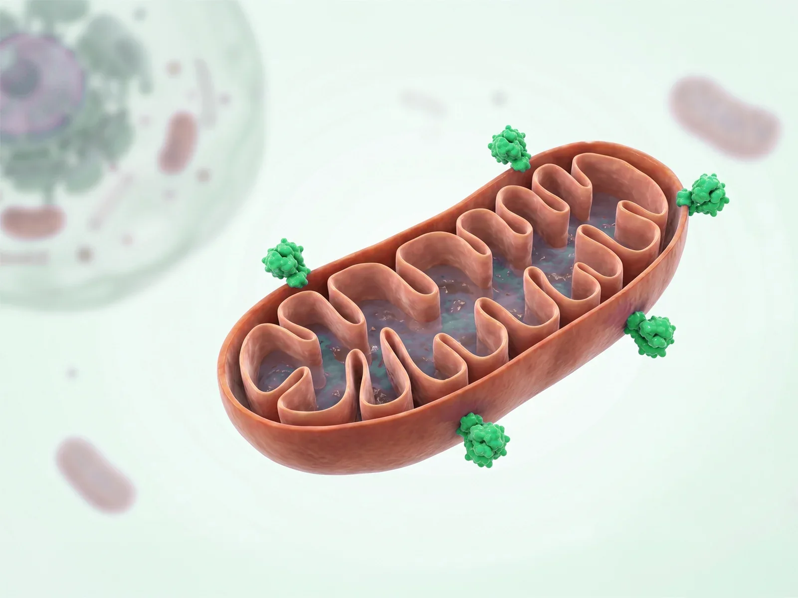 https://medicine.nus.edu.sg/wp-content/uploads/2026/07/med-59-sol-03-banner-Gemini_Generated-ST-edit.webp